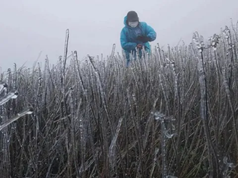 Dự báo thời tiết ngày 5/1: Đợt không khí lạnh khiến miền Bắc rét buốt kéo dài đến khi nào?