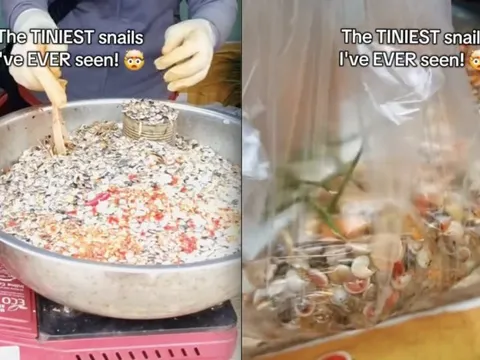 Bỏ 50.000 đồng mua món ốc lạ ở Việt Nam, khách Tây mỏi nhừ tay vì ăn mãi không xong