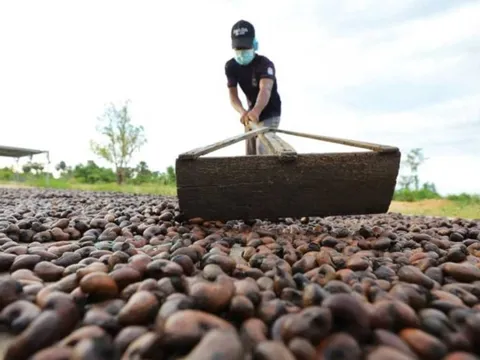 Việt Nam vừa lập kỷ lục chưa từng có với mặt hàng xuất khẩu top 1 thế giới, Trung Quốc và Mỹ có đóng góp lớn