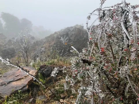 Dự báo thời tiết 13/1: Đợt không khí lạnh mạnh khiến miền Bắc rét buốt đến khi nào?