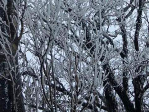 Miền Bắc sắp đón đợt không khí lạnh cực mạnh, rét đậm mở rộng và kéo dài