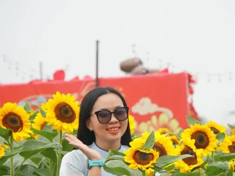 Sốt sình sịch với cánh đồng hoa xuân ở TPHCM