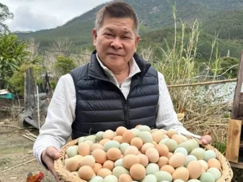 Nam diễn viên cả nước biết mặt phá sản vì món nợ 191 tỷ, nay về quê bán trứng, trái cây đầy chua xót