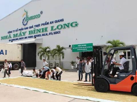 Antesco - Tân binh HoSE chốt ngày chào sàn