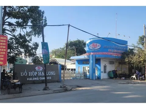 Kiểm tra Công ty Đồ hộp Hạ Long, 3 năm không phát hiện sai phạm