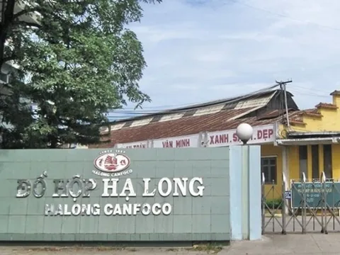 Dòng tiền hàng trăm tỷ đồng mỗi năm của Đồ hộp Hạ Long