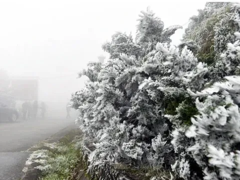 Dự báo thời tiết 15/1: Miền Bắc rét sâu, nhiều nơi khả năng có băng giá và sương muối