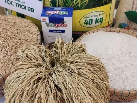 Gạo Lộc Trời bổ nhiệm tổng giám đốc mới