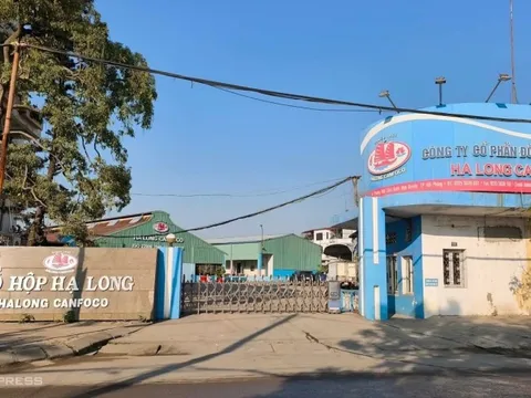 Vụ Đồ hộp Hạ Long: Phát hiện hành vi đưa, nhận hối lộ để cấp giấy kiểm dịch