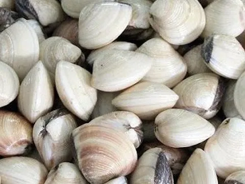 Hộ kinh doanh ngao thắc mắc, trường hợp nào chịu thuế GTGT khi vừa tự nuôi, vừa mua lại để bán? Cục Thuế trả lời