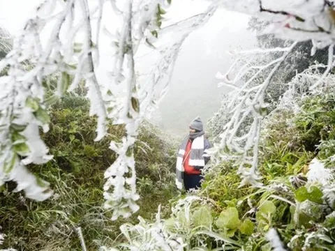 Miền Bắc sắp đón đợt không khí lạnh tăng cường, trời mưa và rét đậm