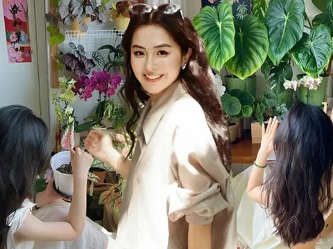 Không nhà vườn, không biệt thự: Ban công của bà mẹ trẻ khiến hàng nghìn người muốn sống chậm lại