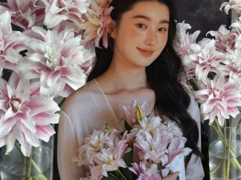 Cắm bình hoa bách hợp Isabella "đẹp như tranh" ngày Tết: Bí kíp dưỡng hoa nở đều, tươi lâu cả tháng chỉ nhờ thứ này