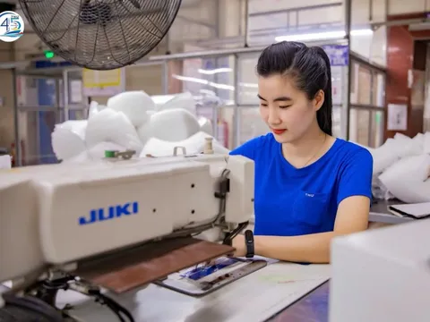 Nhờ đâu TNG đạt lợi nhuận quý 4 tăng 50% so với cùng kỳ?