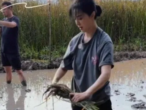 Hết cứu Phạm Băng Băng