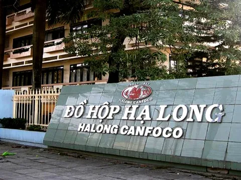 Loạt doanh nghiệp lên tiếng vụ 120 tấn thịt tả lợn châu Phi tại công ty Đồ hộp Hạ Long