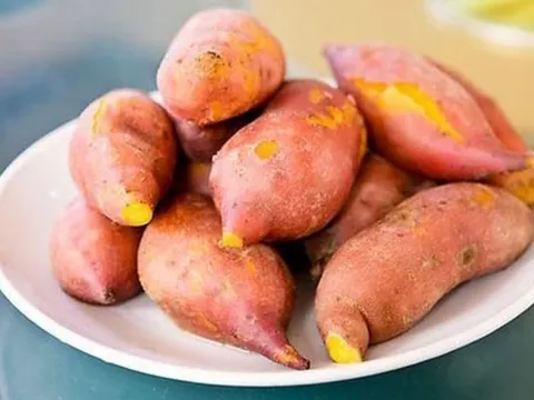 Kho dinh dưỡng từ khoai lang giúp tăng tuổi thọ