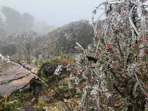 Dự báo thời tiết 19/1: Không khí lạnh mạnh tăng cường, miền Bắc rét đậm dưới 6 độ