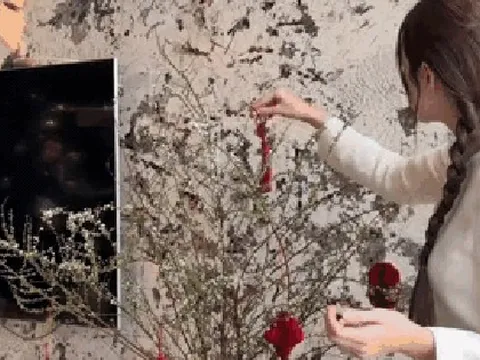 Cái Tết đầu tiên của Đỗ Hà và Viết Vương