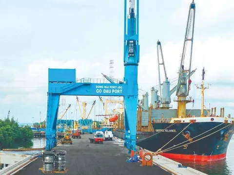 Công ty cảng biển 6.000 tỷ báo lãi kỷ lục, EPS 7.350 đồng, tiền mặt chiếm 50% tài sản