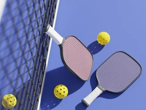 Quá khó khăn: Công ty dệt may từng kiếm 1.500 tỷ/năm phải cho thuê sân pickleball lấy 3 triệu đồng/ngày, vẫn lỗ