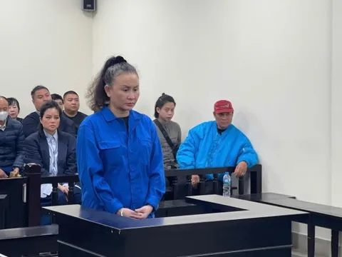 'Hứa' mua hộ biệt thự, chiếm đoạt gần 230 tỷ đồng, nữ bị cáo lãnh án chung thân