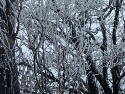 Dự báo thời tiết 21/1: Miền Bắc đón không khí lạnh tăng cường cực mạnh, có nơi dưới 6 độ C