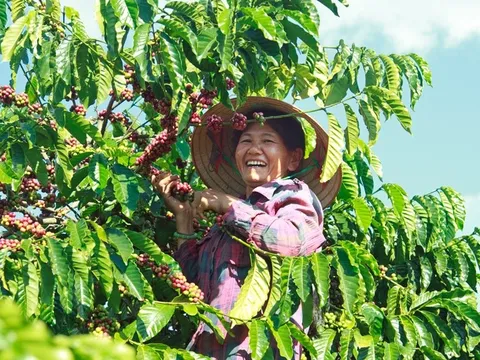 Việt Nam - quốc gia sở hữu "kho báu đen" vừa phá kỷ lục 8,4 tỷ USD - nhận tin vui