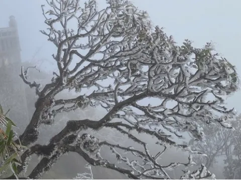 Khi nào miền Bắc chấm dứt rét đậm, rét hại?