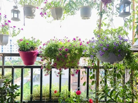 Những ý tưởng thú vị trang trí ban công đón Tết