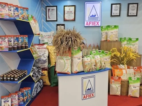 Lên HoSE, AFIEX báo lãi tăng mạnh trong năm 2025