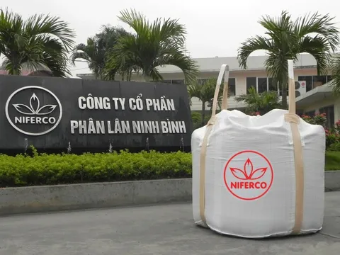Công ty liên quan đến ông Nguyễn Ngọc Thạch tăng sở hữu tại Phân lân Ninh Bình