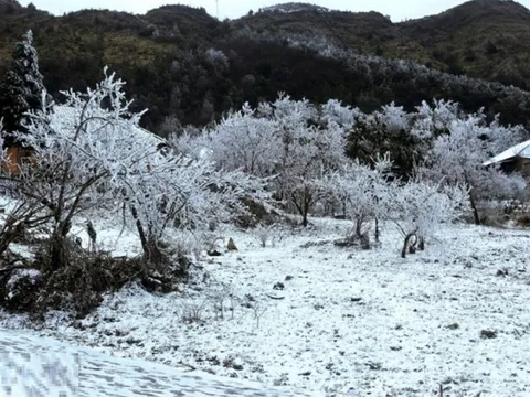 Dự báo thời tiết 23/1: Không khí lạnh cường độ mạnh bao trùm miền Bắc, nhiều nơi xuất hiện băng giá