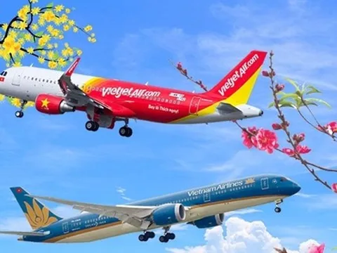 Muốn mai, đào Tết 'đi máy bay', khách hàng phải chi bao nhiêu?