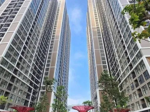 Dòng tiền còn đổ mạnh vào phân khúc căn hộ chung cư năm nay?