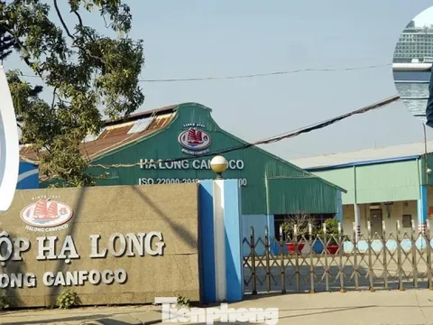 Công ty Đồ hộp Hạ Long bị 'tuýt còi'