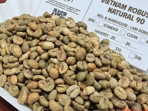 Giá cà phê hôm nay 24-1: Quay lại đà tăng 3 con số với Robusta