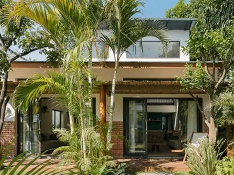 6 loại cây được người xưa khuyên nên trồng vào đầu năm để cầu công danh, tài lộc