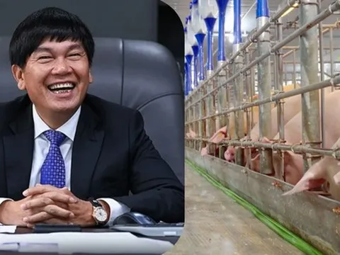 Đàn heo của tỷ phú Trần Đình Long xuất chuồng hơn 660.000 con năm 2025