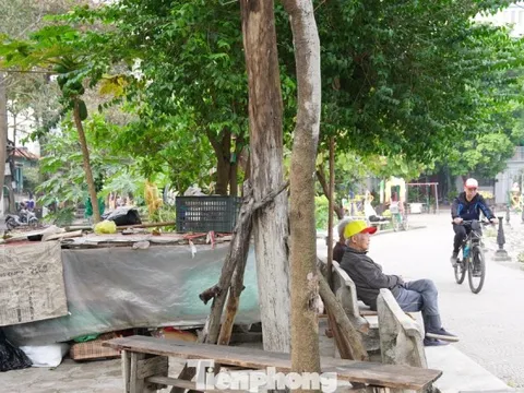 Công viên tại trung tâm Hà Nội bị hàng quán lấn chiếm, bãi cỏ thành nơi trồng rau