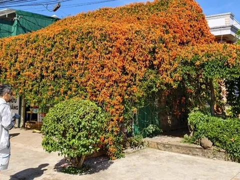 Căn nhà đang "nổi như cồn" ở Lâm Đồng