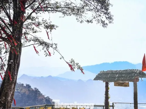 Cảnh tượng 'độc nhất vô nhị' ở điểm check-in cao nhất Mộc Châu