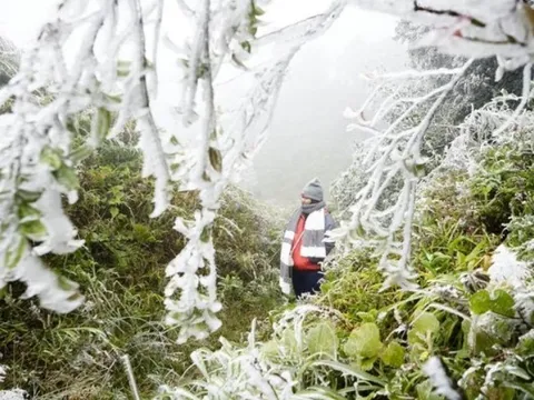 Dự báo thời tiết 28/1: Miền Bắc đón không khí lạnh dồn dập, trời rét đậm kèm sương mù bao phủ