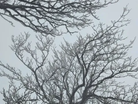 Dự báo thời tiết 29/1: Không khí lạnh tăng cường tràn về, miền Bắc sắp bước vào đợt rét diện rộng