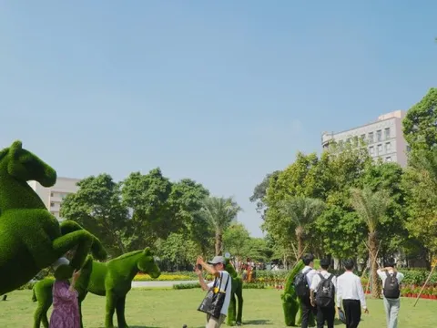 'Đất vàng' bỏ hoang giữa trung tâm TPHCM thành công viên đông vui dịp Tết