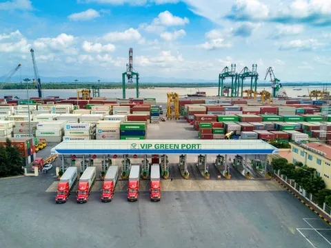 Tăng giá cước, Cảng xanh VIP lãi kỷ lục trong năm 2025