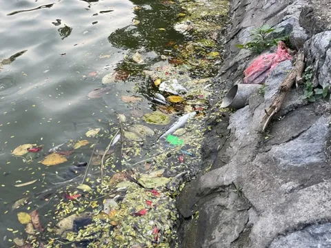 Hồ điều hòa Mai Dịch ngập rác, môi trường xuống cấp nghiêm trọng