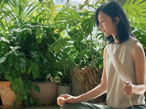 Người càng thông minh càng “lạnh”: 3 việc không quản, 4 điều không nói, 5 kiểu không giúp để sống nhẹ đầu, bền phúc