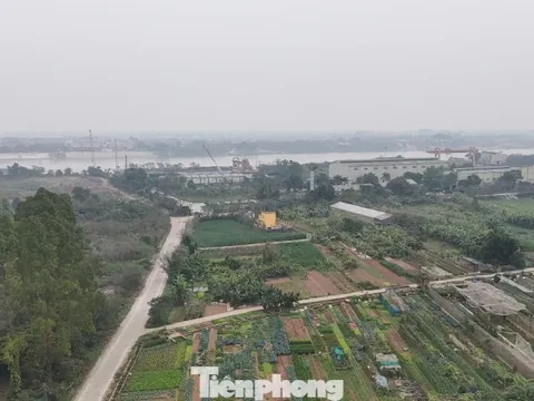 Cận cảnh khu vực làm 3 'siêu đô thị' tái định cư cho Trục đại lộ cảnh quan sông Hồng