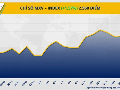 THỊ TRƯỜNG HÀNG HÓA: Sôi động sau nghỉ lễ, giá bạch kim sát đỉnh cuối 2025